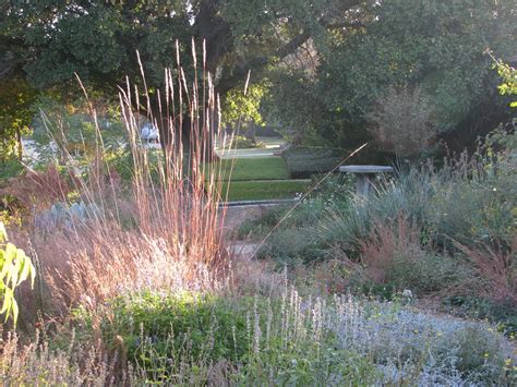 Why not incorporate prairie grasses? Plano Prairie Garden: November 2010