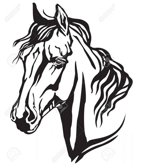 A horse ridden in battle, tournaments, or parades; Mustang Horse Line Drawing | Free download on ClipArtMag