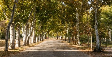 El festival al bosque r.e.a.l revive alguna de las historias o anécdotas que esconde el mayor parque público de madrid desde 1931, cuando dejó de pertenecer a la realeza. Casa de Campo | Turismo Madrid