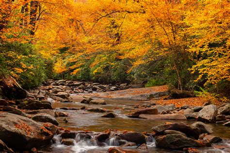 Fall Color Over Stream Smoky Mountains Fine Art Photo Print Photos By