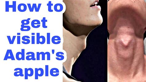 how to get visible adam s apple without surgery how to get a visible adams apple in bengali