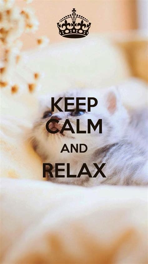 Amazing Collection Of Quotes With Pictures Keep Calm Quotes Keep Calm