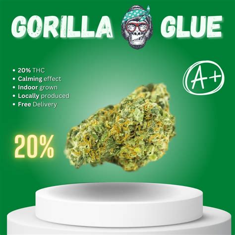 Gorilla Glue 4 Gg4 Prikpot Thailand