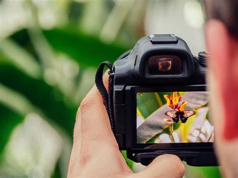 Cara Memegang Kamera Yang Sebenarnya Blog Banten Kamera