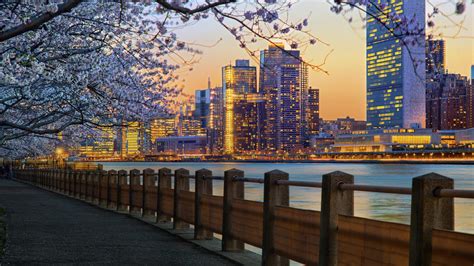 Cosa fare a New York in primavera, idee di viaggio nella ...