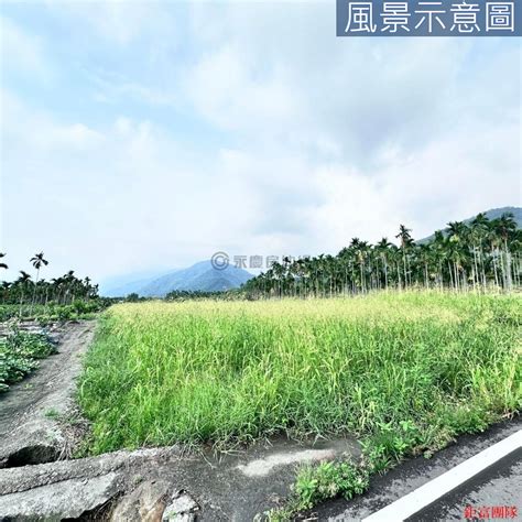 新豐壯麗山景方正農地 P 屏東縣高樹鄉大山寮段房屋 Yc0113560 台慶不動產