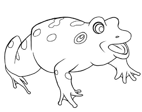 Frogs coloring pages to download and print for free