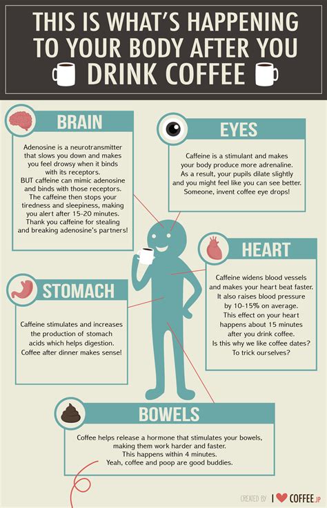 This Is Whats Happening To Your Body After You Drink Coffee I Love