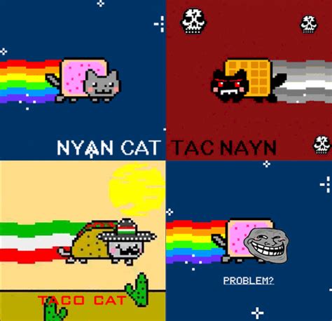 Nyan Cat  Nyan Cat Photo 26044269 Fanpop