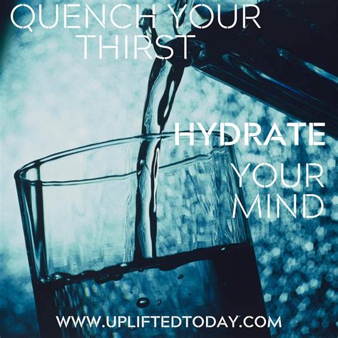 Quench Your Thirst Hydrate Your Mind