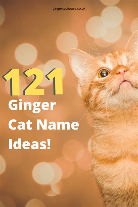 Maybe you would like to learn more about one of these? 121 Ginger cat names - name ideas for orange cats! in 2020 ...