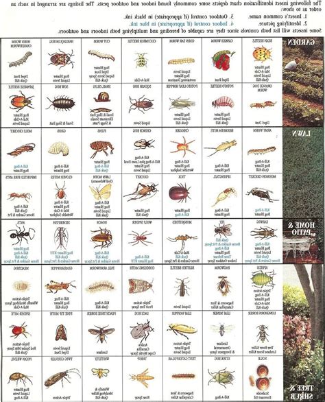 Pest Identification Garden Pest Identification Chart