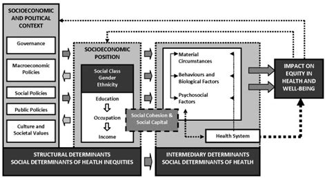 The Commission On Social Determinants Of Health Csdh Conceptual