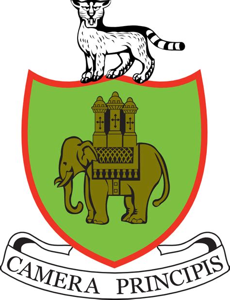 Coventry City Logo History