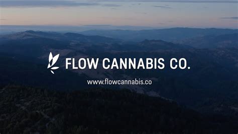 Flow Cannabis Co Youtube