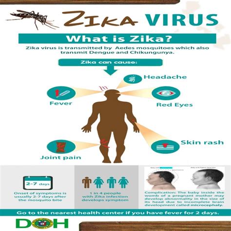 How To Zika Virus Prevention In The Philippines Philippine Primer