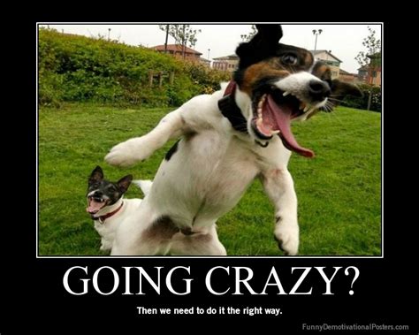 crazy funny pictures quotes
