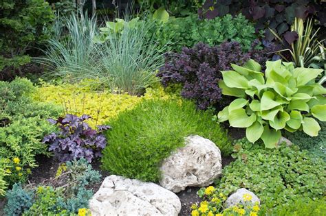 Learn how to shop for plants, patio pavers and other items you. Low Maintenance Gardens - Plant / Layout Ideas & Designs For Australia