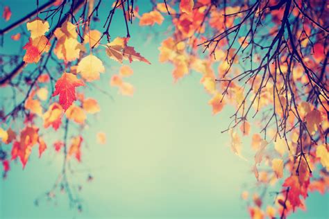 6 Autumn Themes For Your Next Event Eventbrite Uk