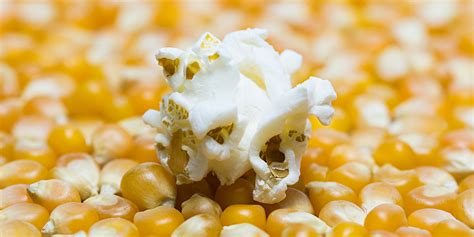 How Does Popcorn Pop L Opopop