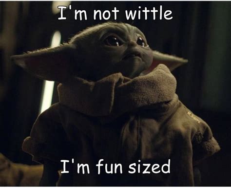 Yoda Meme Yoda Funny Yoda Pictures Funny Pictures Funny Animal