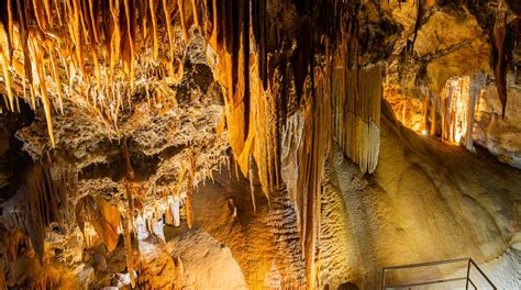 Jenolan Caves In Jenolan Tours And Activities Expedia