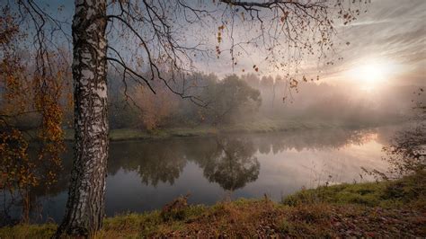 River Between Grass Field And Trees With Fog During Fall Sunrise Hd