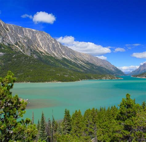 THE 15 BEST Things to Do in Yukon - UPDATED 2021 - Must See Attractions in Yukon, Canada 