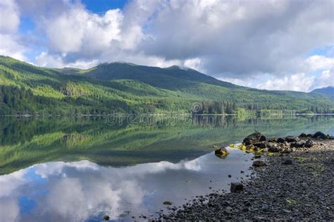 Morning Landscape At Nitinat Lake British Columbia Canada Stock Image