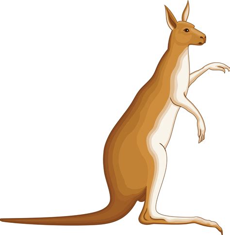 Free Clipart Of A Kangaroo