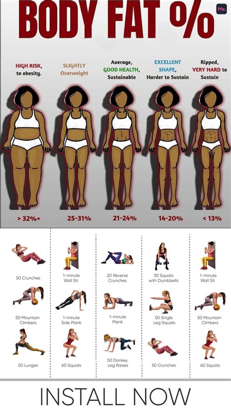 Female Fitness Body Types Gajinya