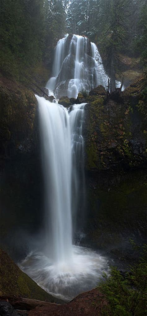 Falls Creek Falls Loop Hike Hiking In Portland Oregon And Washington
