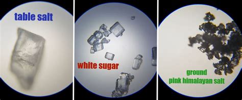 Sugar Crystal Microscope