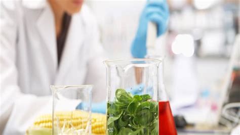 Improve Food Safety By Optimizing Your Clean In Place Cip System Ecolab