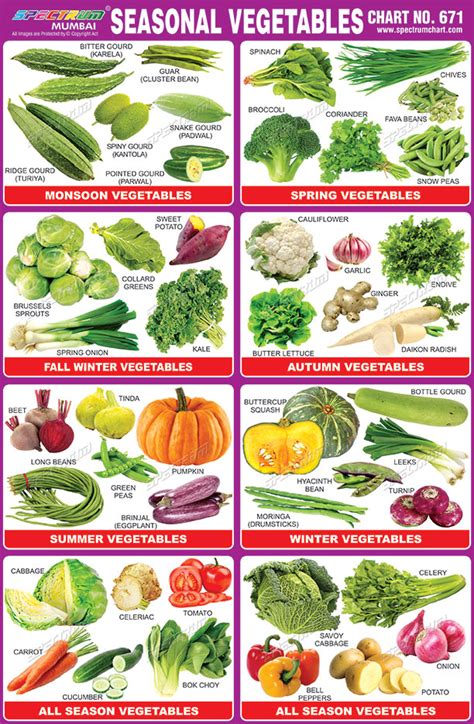 Spectrum Educational Charts Chart 671 Seasonal Vegetables
