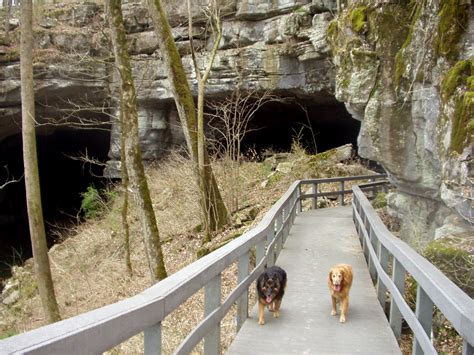 Hikewithyourdog Russell Cave National Monument