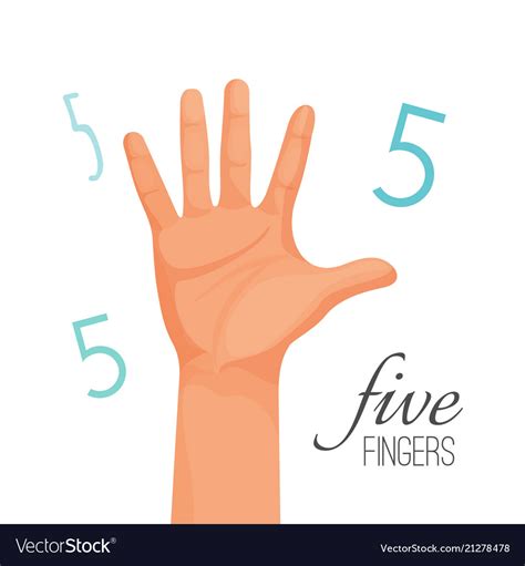 Five Fingers Poster With Headline Male Hand Vector Image