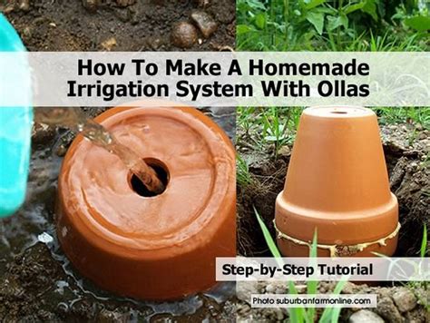 How To Make A Homemade Irrigation System With Ollas