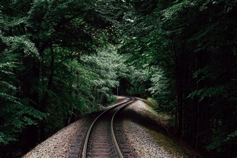 Railroad In Forest Free Photo On Barnimages