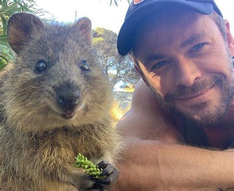 Has chris hemsworth ever looked this good? 2,510 Likes, 37 Comments - lucy | fanpage ♥ (@chris ...