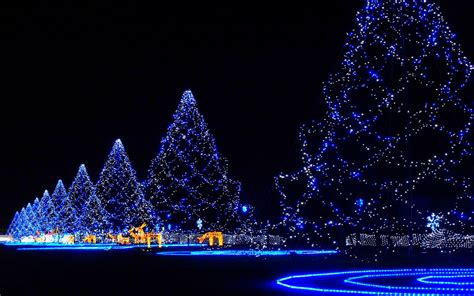 We did not find results for: Christmas Tree Wallpapers High Quality | Download Free