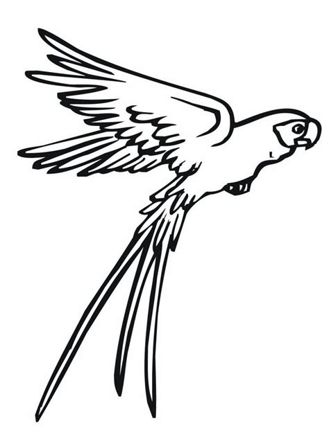 Free Free Printable Parrot Coloring Pages For Kids Online Parrot