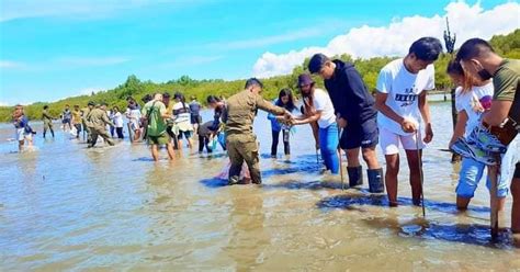 Volunteer Groups Vow To Sustain Mangrove Planting In Negor Philippine News Agency