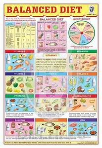 Balanced Diet Chart School Posters General Knowledge Charts Fun