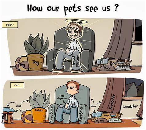 66 Hilarious Differences Between Cats And Dogs Bored Panda