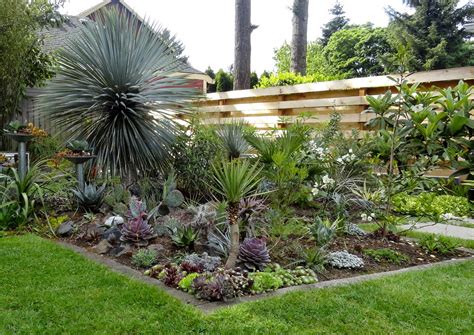 Earthing up potatoes will increase the length of underground stems that will bear potatoes. danger garden: An update on the Agave burial mounds…