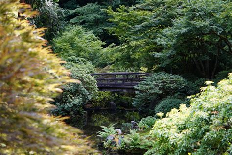 History Of Portland Japanese Garden Portland Japanese Garden