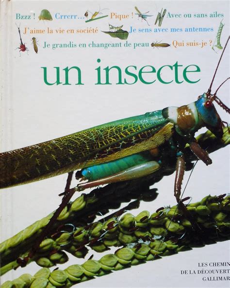 Qui Suis Je Un Insecte Mound Laurence Amazonfr Livres