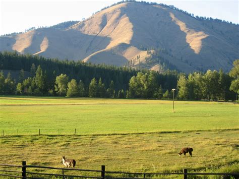 Ranch Landscape With Mountain Near Superior Montana Image