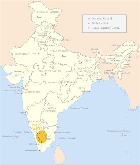 I didn't find even a single comment that highlighted this fact. nilgiri hills in india map - Brainly.in
